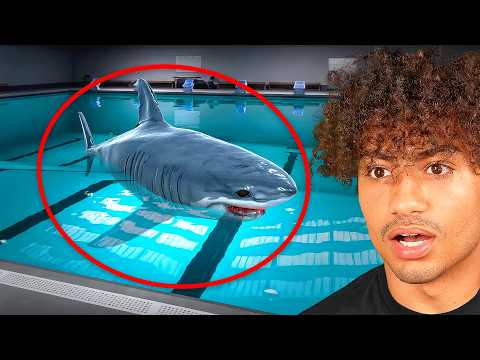 SWIMMING IN A SHARK INFESTED POOL..