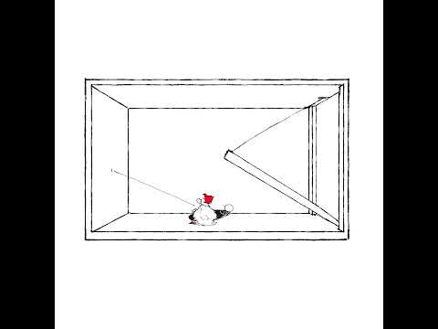 ?? Pls help #art #animation