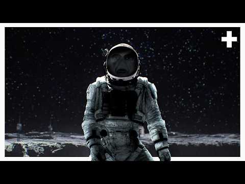 We Are Still Stuck in Space... Again