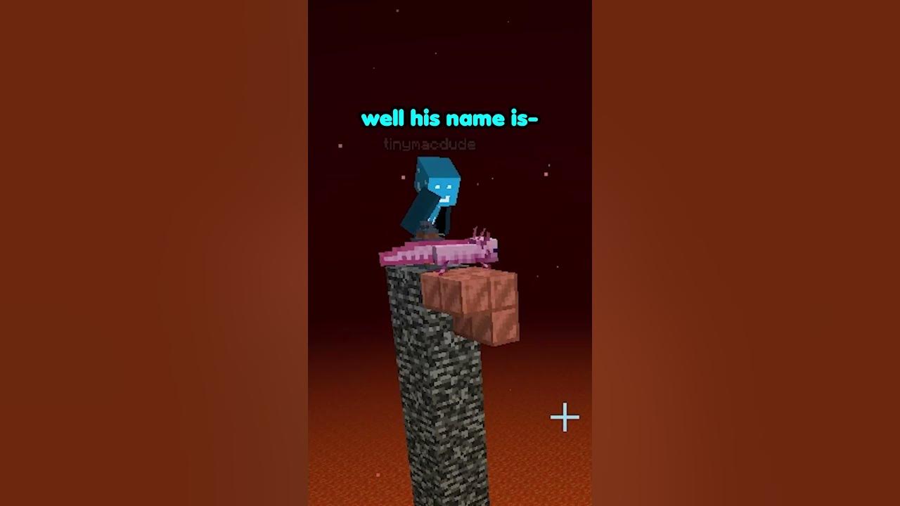 I hade a button #minecraft #minecraftshorts