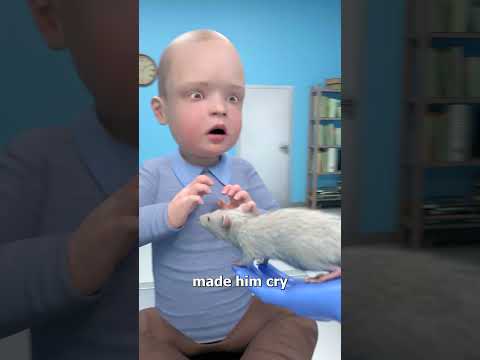 How The Little Albert Experiment Worked 😨