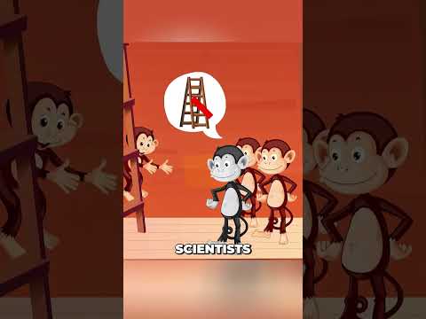These Monkeys Forgot WHY They Were Fighting 💀 #funny #comedy #shorts