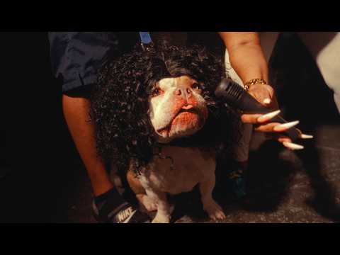 Skippa - Glocks and Chips (Official Music Video)