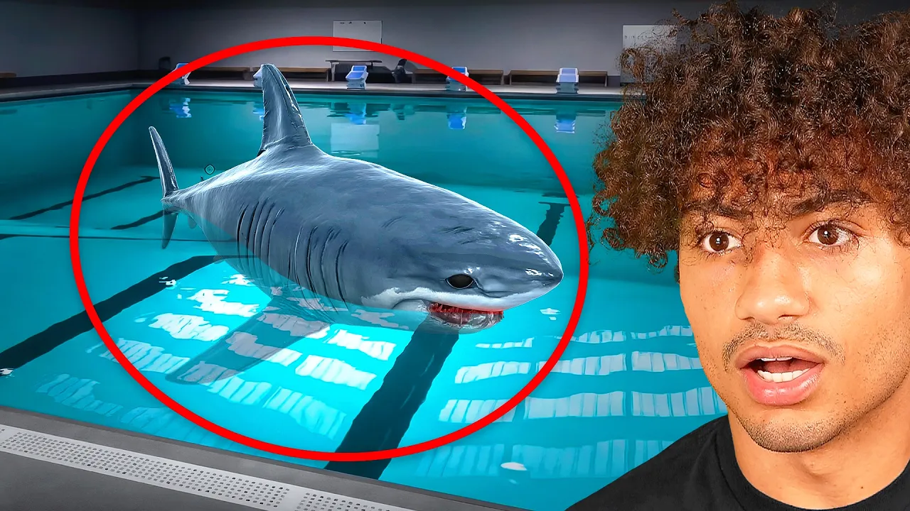 SWIMMING IN A SHARK INFESTED POOL..