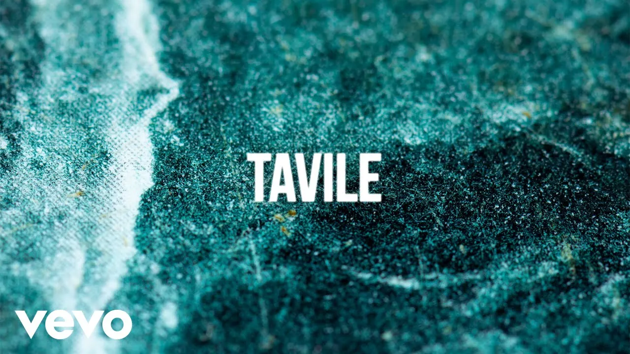 Sean Rii, Jenieo, Sharzkii - Tavile (Visualiser)