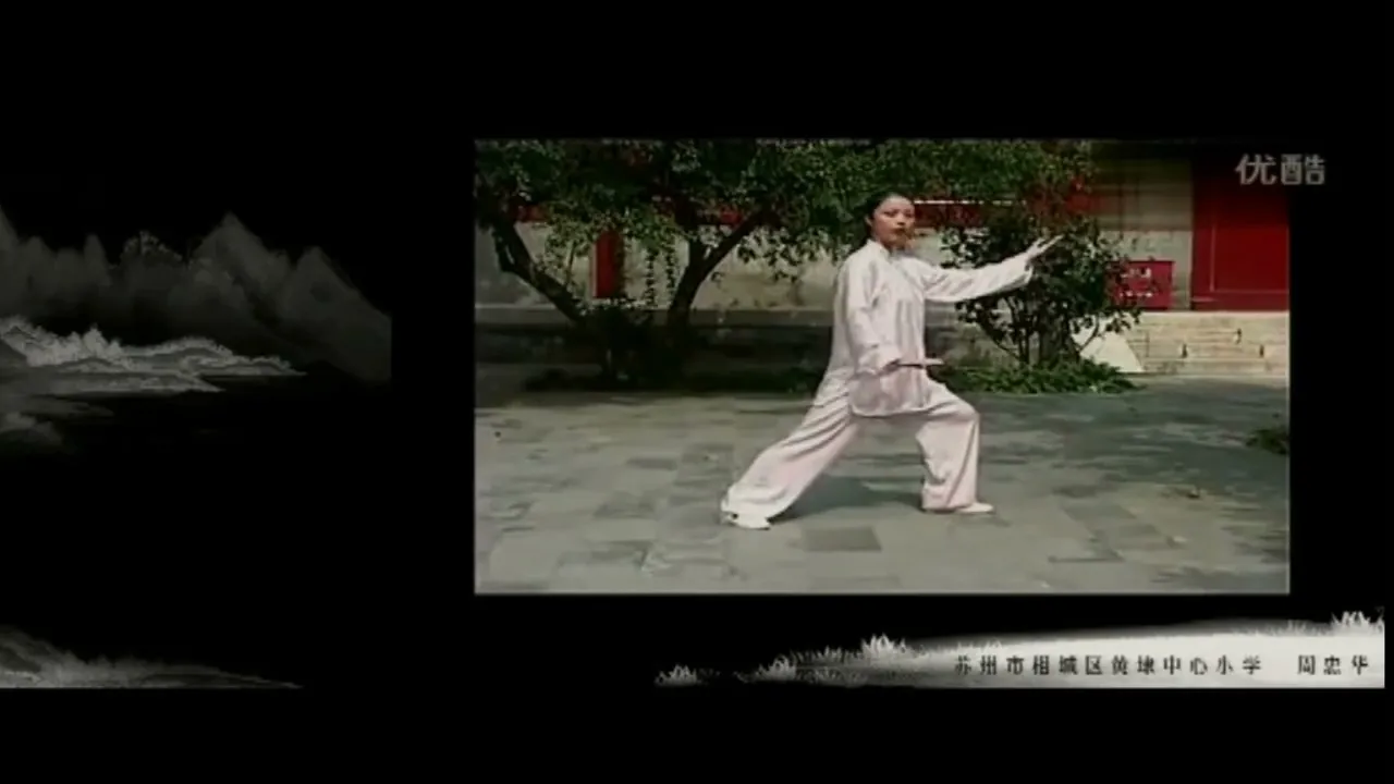 小学体育《太极拳（左右野马分鬃）》