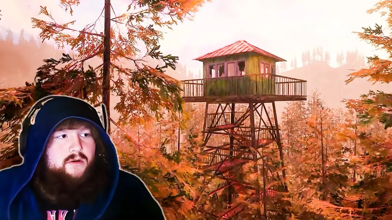 Forest Lookout…
