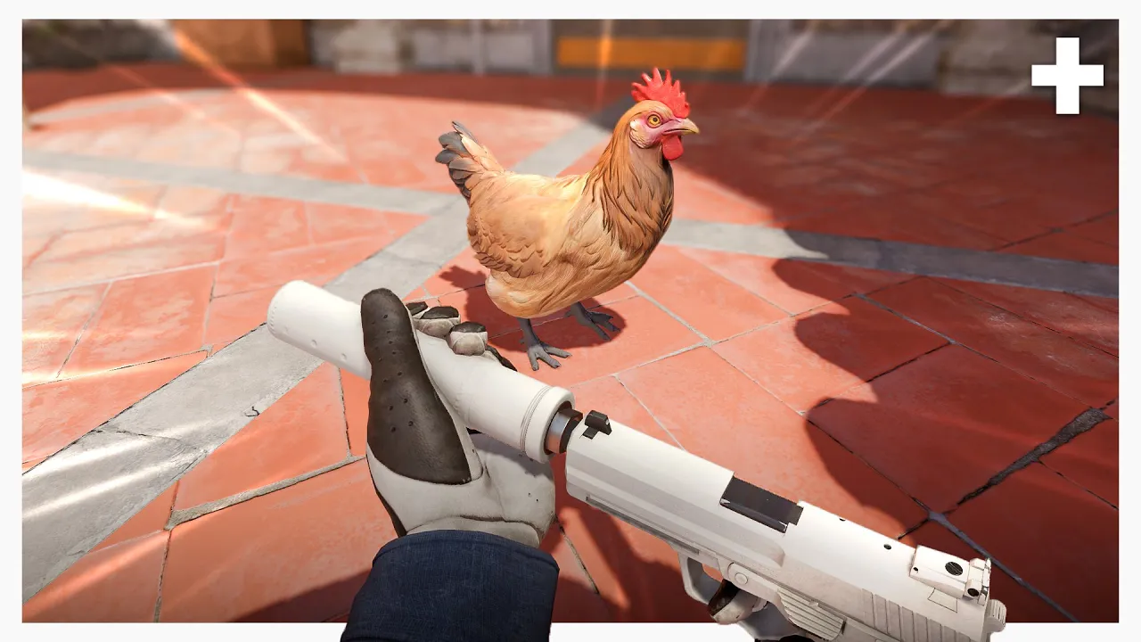 Watch This CS Video or The Chicken Gets It