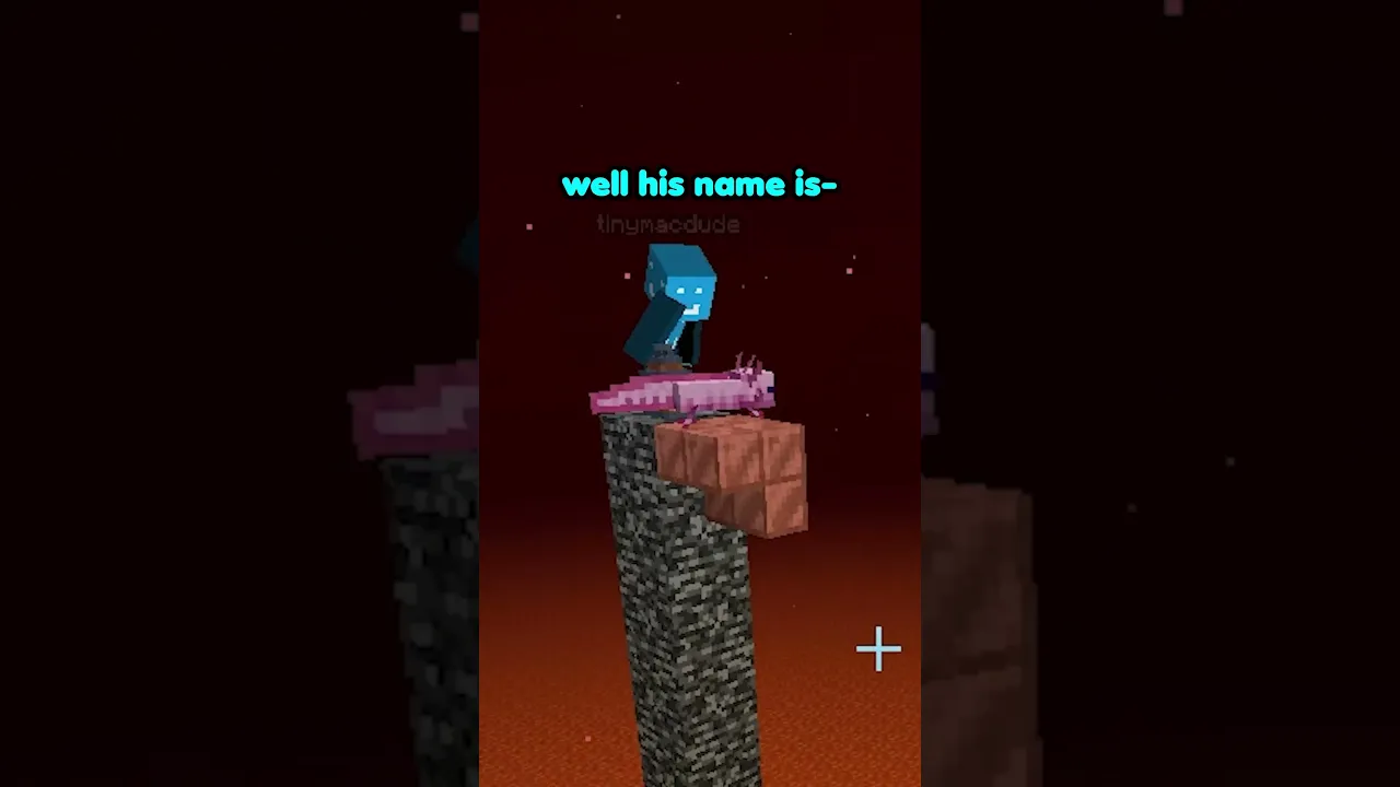 I hade a button #minecraft #minecraftshorts